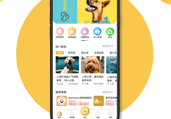 养宠app软件开发 宠友互助没压力--app应用公司广州91直播
