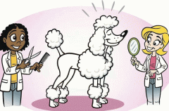 开发宠物美容app能提供专业服务