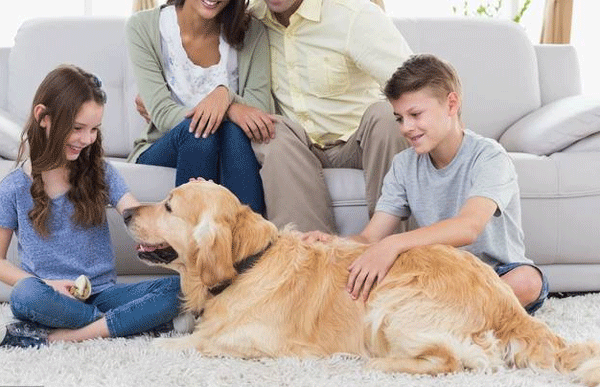 养宠app制作 分享养宠经验-广州91直播
app开发公司