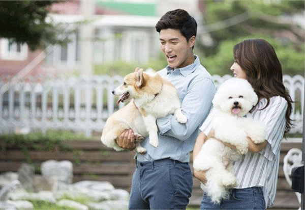 宠物市场app开发专业的宠物担保交易平台-广州软件开发91直播
