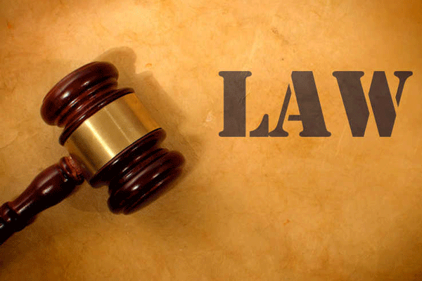 智慧执行APP软件开发支持查看各种案件--广州app开发91直播
