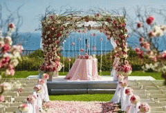 婚庆礼仪app开发为用户提供个性化婚礼定制服务