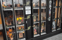 软件开发共享鲜花机APP打开花店鲜花销售渠道