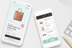 皮包销售软件开发可以在线比价获取皮革制品信息