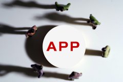 广州APP公司定制开发一个手机应用多少钱