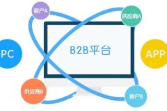 B2B商城软件开发有那些关键点和必要功能？