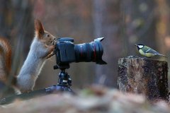 预约摄影APP制作帮助用户保存美好回忆