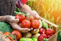 软件开发助农APP制作更好地了解农村生活支持农业发展