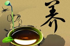 健康养生app开发的解决方案与市场前景探析