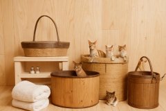 桑拿app开发方便用户预订和信息查询