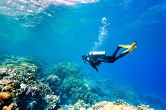 制作软件潜水APP为潜水爱好者提供便利和安全保障