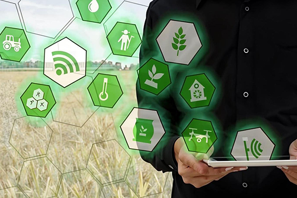 农业问诊APP开发为农民提供便捷高效的农业技术咨询服务--开发app公司广州91直播
