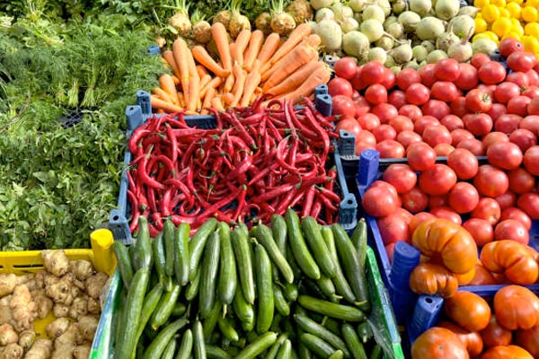 蔬菜货源App开发功能详解：高效采购批发与智能配送一体化解决方案